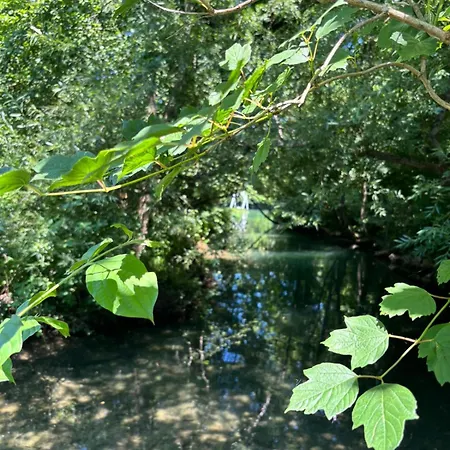 Pure Nature * Bihać
